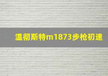 温彻斯特m1873步枪初速