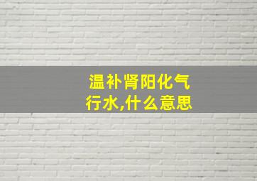 温补肾阳化气行水,什么意思