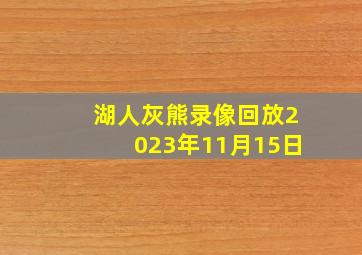 湖人灰熊录像回放2023年11月15日