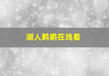 湖人鹈鹕在线看