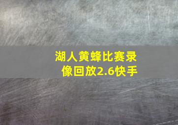 湖人黄蜂比赛录像回放2.6快手