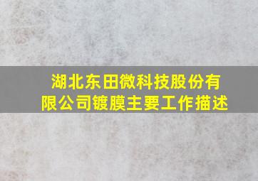 湖北东田微科技股份有限公司镀膜主要工作描述