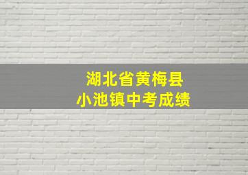 湖北省黄梅县小池镇中考成绩