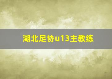 湖北足协u13主教练