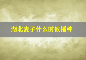 湖北麦子什么时候播种