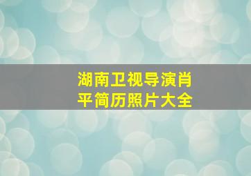 湖南卫视导演肖平简历照片大全