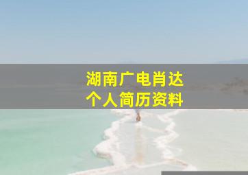 湖南广电肖达个人简历资料