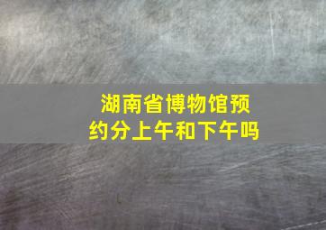 湖南省博物馆预约分上午和下午吗