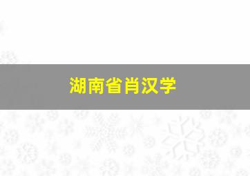 湖南省肖汉学