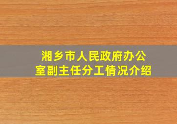 湘乡市人民政府办公室副主任分工情况介绍