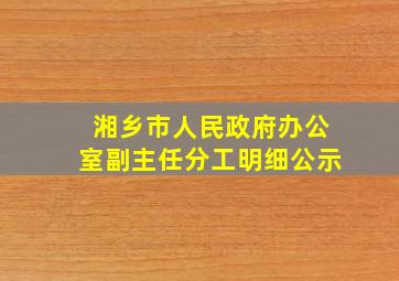 湘乡市人民政府办公室副主任分工明细公示