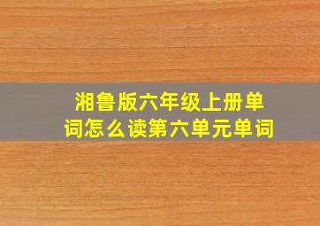 湘鲁版六年级上册单词怎么读第六单元单词