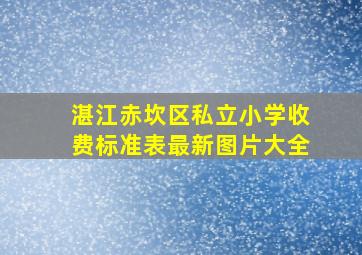 湛江赤坎区私立小学收费标准表最新图片大全