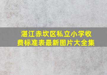 湛江赤坎区私立小学收费标准表最新图片大全集