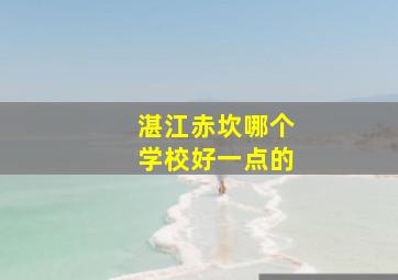 湛江赤坎哪个学校好一点的