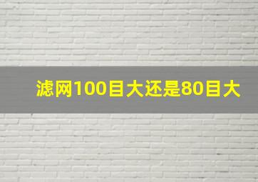 滤网100目大还是80目大