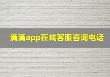 滴滴app在线客服咨询电话