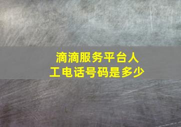 滴滴服务平台人工电话号码是多少