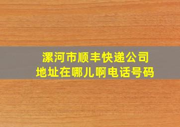 漯河市顺丰快递公司地址在哪儿啊电话号码