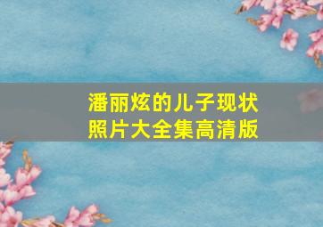 潘丽炫的儿子现状照片大全集高清版