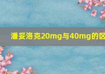 潘妥洛克20mg与40mg的区别