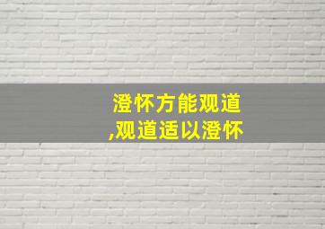 澄怀方能观道,观道适以澄怀