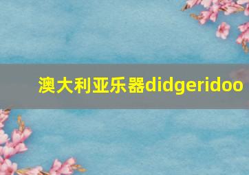 澳大利亚乐器didgeridoo