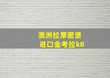 澳洲拉摩图堡进口金考拉k8