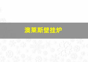 澳莱斯壁挂炉