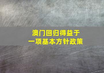 澳门回归得益于一项基本方针政策