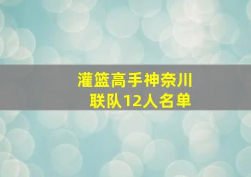 灌篮高手神奈川联队12人名单