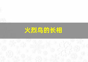 火烈鸟的长相