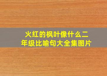 火红的枫叶像什么二年级比喻句大全集图片