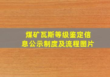 煤矿瓦斯等级鉴定信息公示制度及流程图片