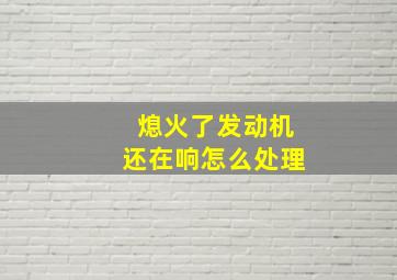 熄火了发动机还在响怎么处理