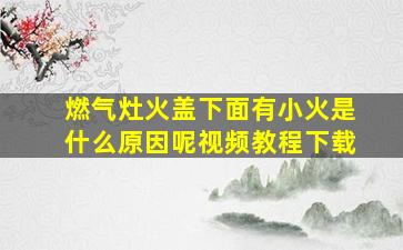 燃气灶火盖下面有小火是什么原因呢视频教程下载