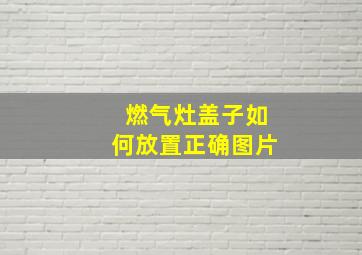 燃气灶盖子如何放置正确图片