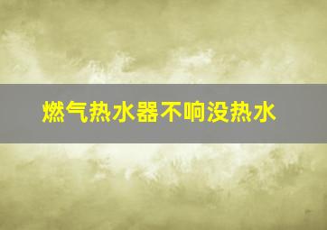 燃气热水器不响没热水