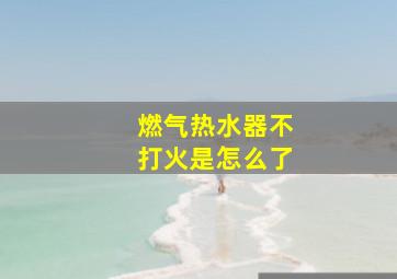 燃气热水器不打火是怎么了