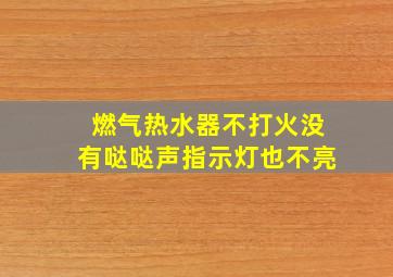 燃气热水器不打火没有哒哒声指示灯也不亮