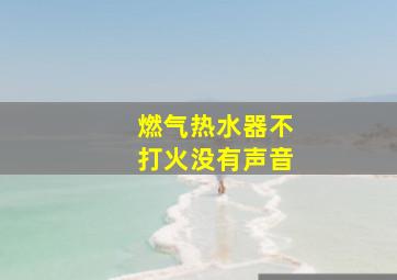 燃气热水器不打火没有声音