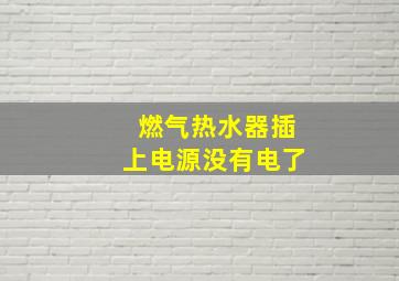 燃气热水器插上电源没有电了