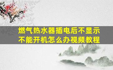 燃气热水器插电后不显示不能开机怎么办视频教程