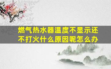 燃气热水器温度不显示还不打火什么原因呢怎么办