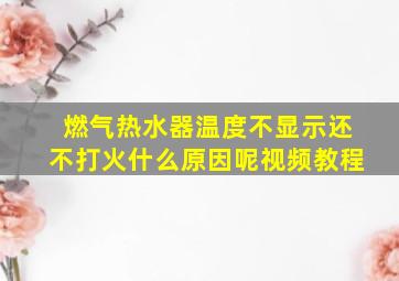 燃气热水器温度不显示还不打火什么原因呢视频教程