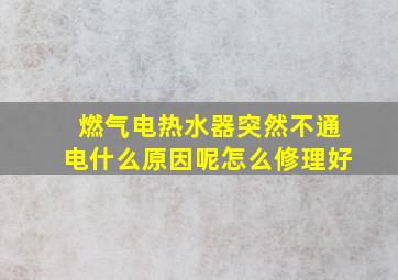 燃气电热水器突然不通电什么原因呢怎么修理好