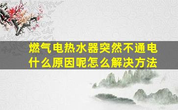 燃气电热水器突然不通电什么原因呢怎么解决方法