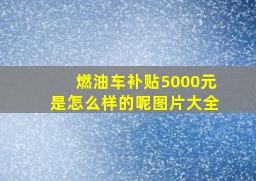 燃油车补贴5000元是怎么样的呢图片大全