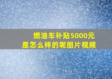 燃油车补贴5000元是怎么样的呢图片视频