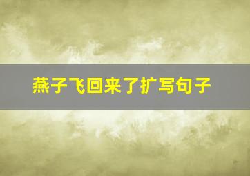 燕子飞回来了扩写句子